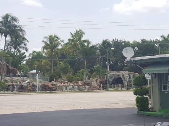 Tamiami Motel - photo 2