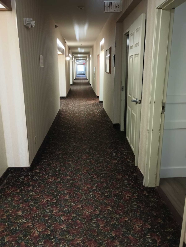 Miriam Hotel - photo 19