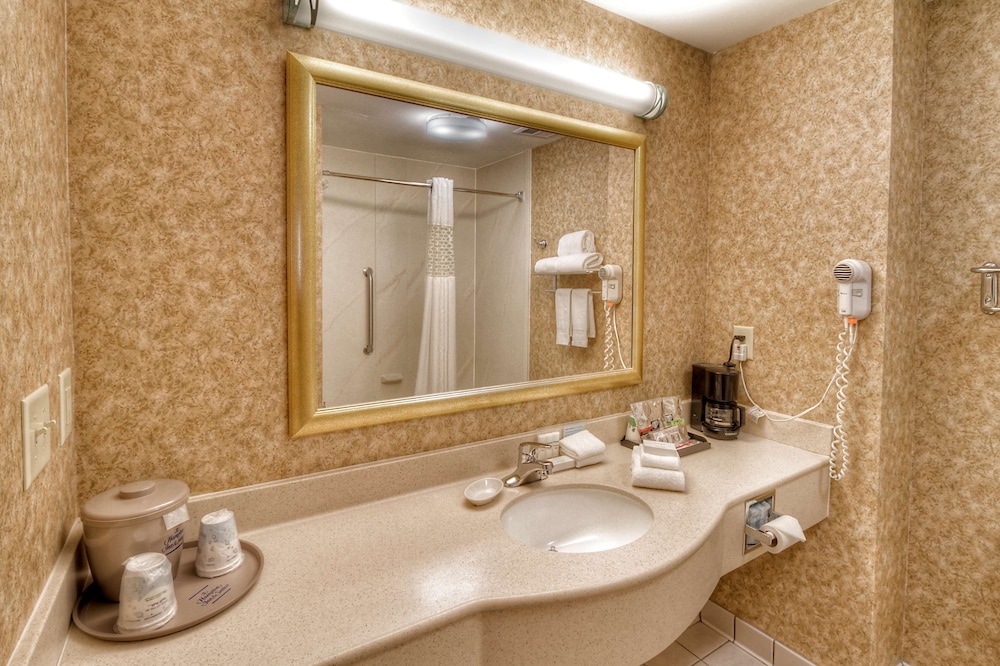 Hampton Inn & Suites Kalamazoo Oshtemo - photo 27