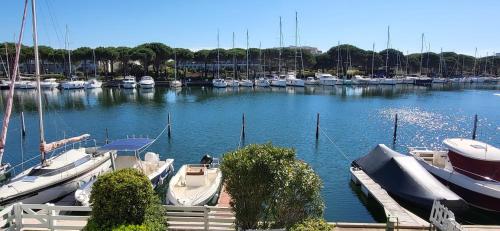 Marina Lairan Vue sur l’eau et les bateaux de Port Camargue 2étoiles F in Le Grau-Du-Roi, France