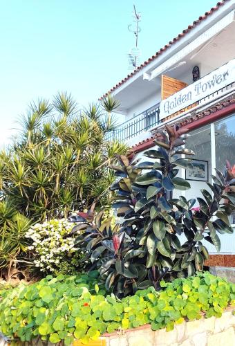 Golden Tower Pensión Auto Check In in Gandia, Spain