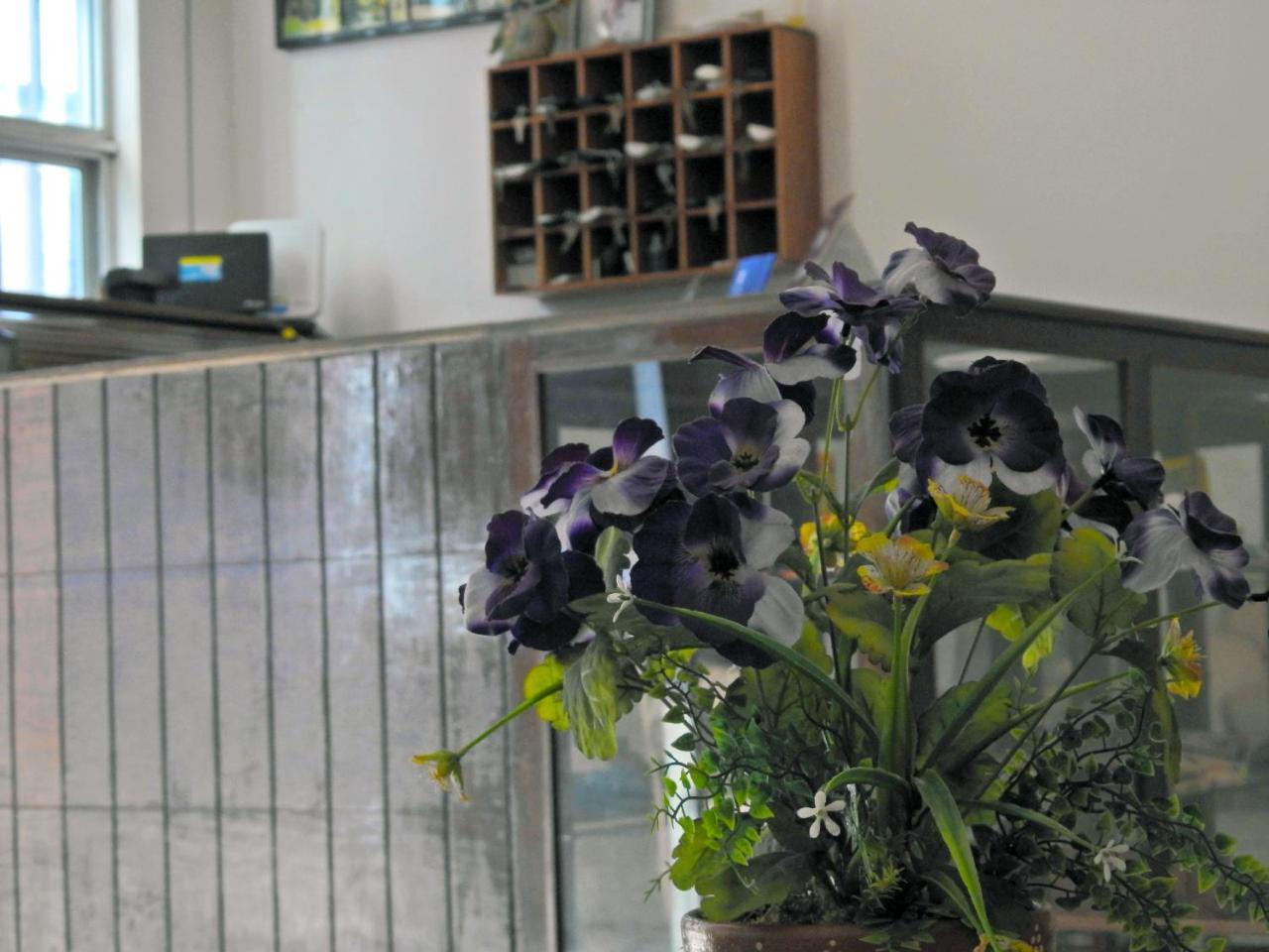 Don Luis Hostal Sucursal Hidalgo Tecolutla 17774806 — Tecolutla