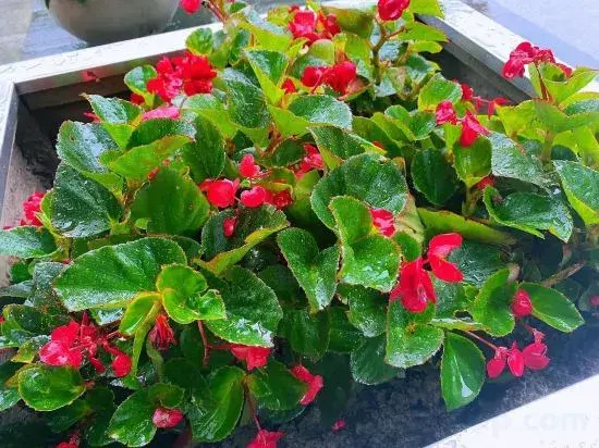 Henghe Hotel in Shanghai, People's Republic of China