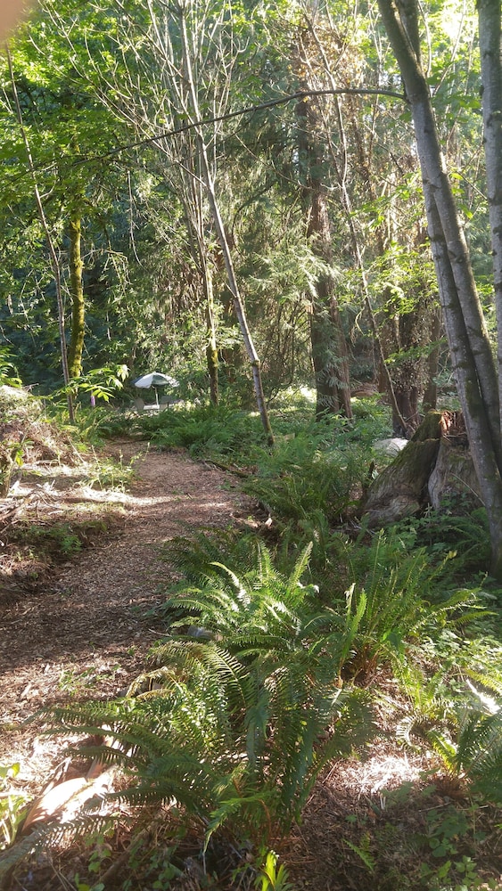 Scott Creek Farm - photo 16