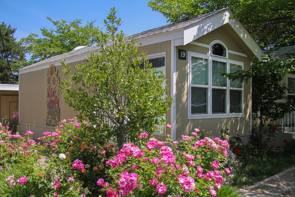 Arden Acres Executive Suites and Cottages - photo 37