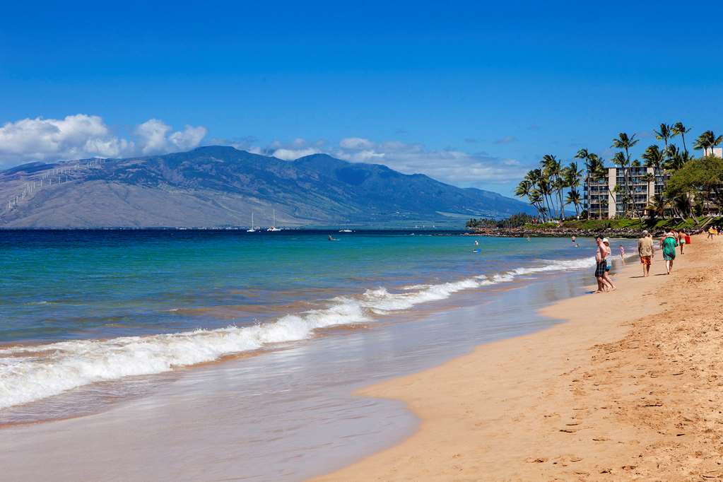 Aston at the Maui Banyan - photo 17