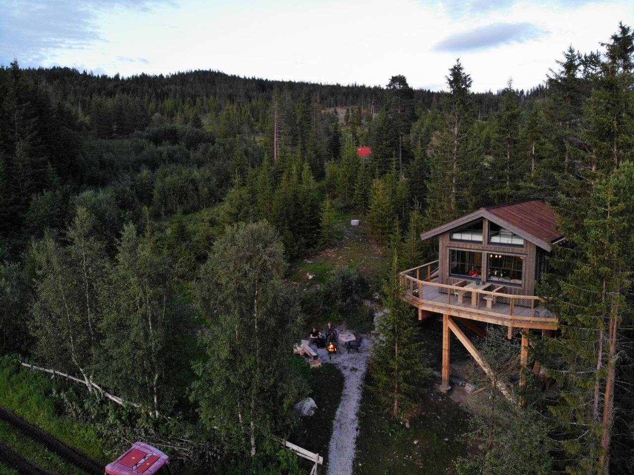Fjellgla tretopphytte — Al — photo 4