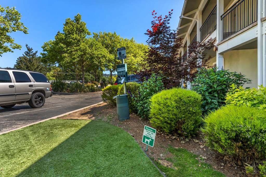 Best Western Plus Inn Scotts Valley - photo 22