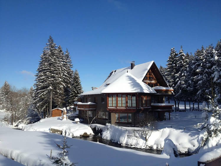 Inselklause — hotel in Furtwangen