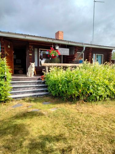 Lätasenonmajat in Enontekioe, Finland