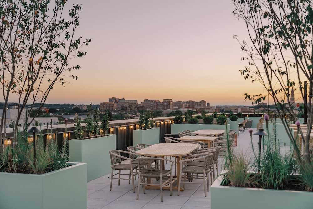 Hotel Heron Alexandria Old Town Curio Collection by Hilton - photo 113