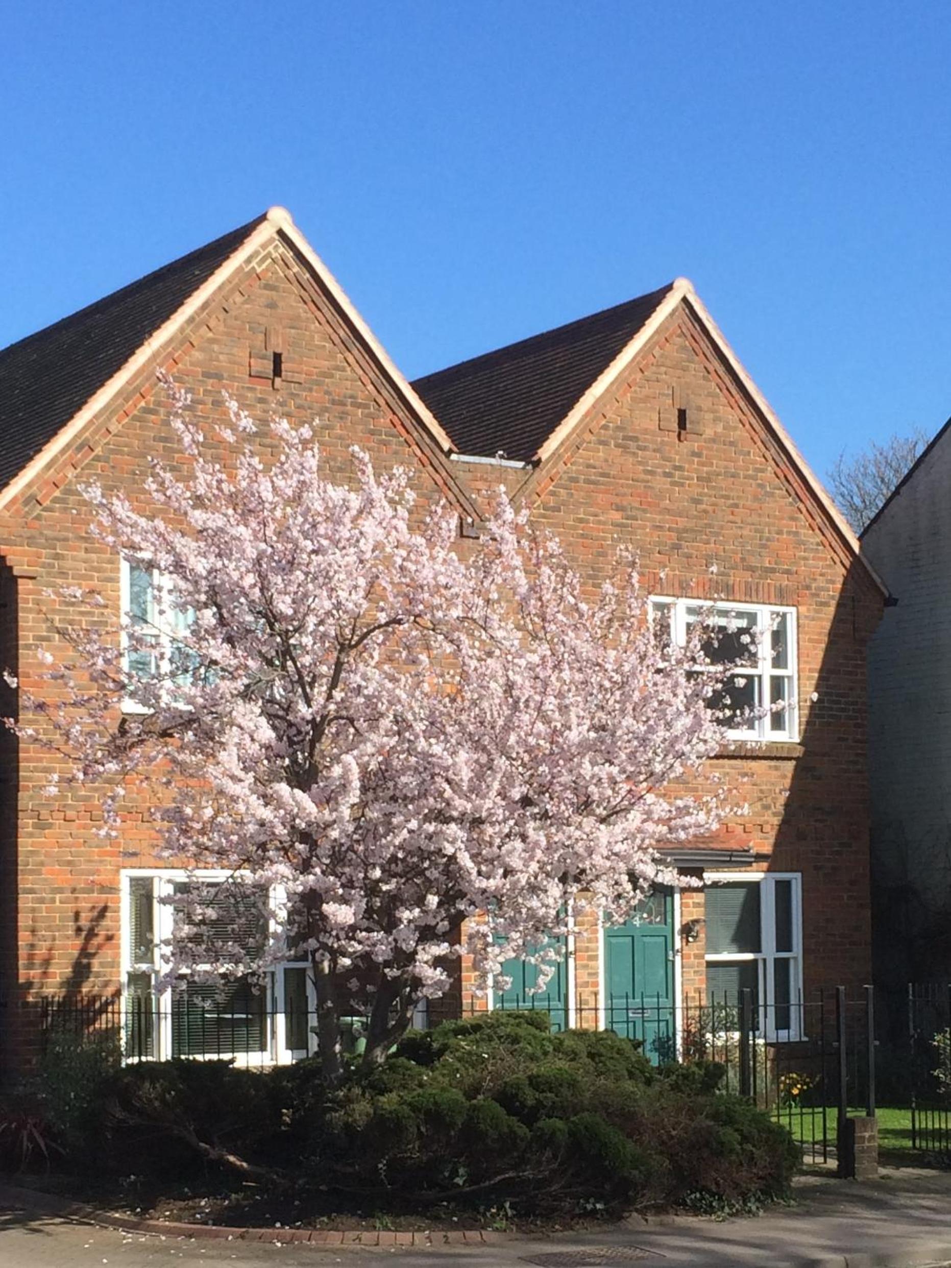 3 Summertown Court — 4-Star Luxury Hotel in Oxford, United Kingdom