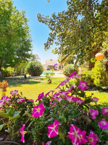 Villa Vravrona Tower & Suites — hotel in Markopoulo