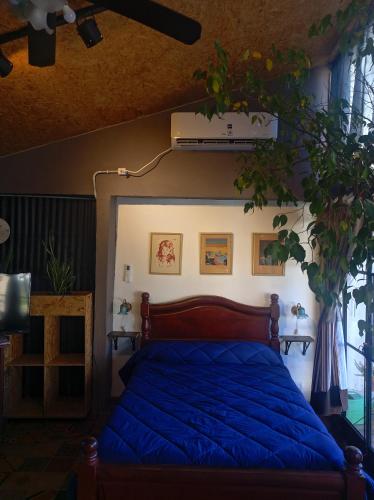 Departamento los lapachos — Villa Allende — photo 5