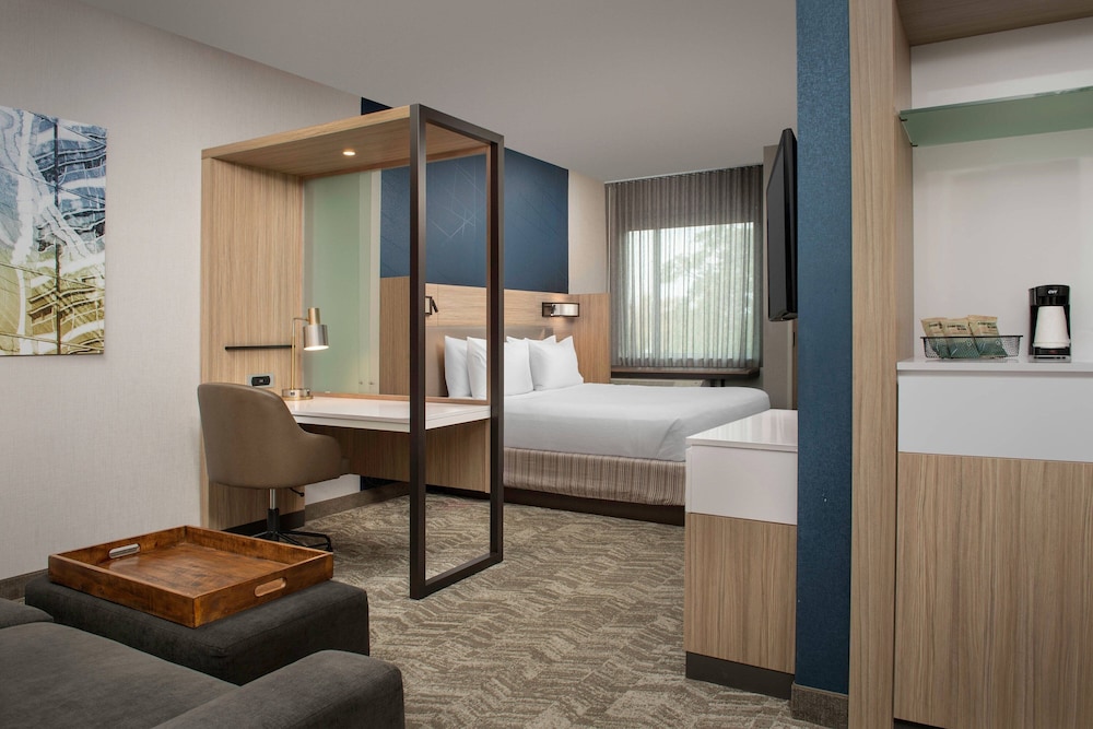 SpringHill Suites by Marriott Charleston Airport & Convention Center - photo 27