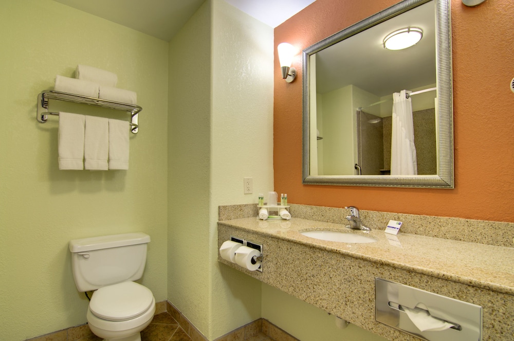 Holiday Inn Express Hotel & Stes Kansas City Sports Complex by IHG - photo 30