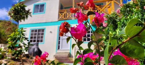 Colorful Garden House — 4-Star Luxury Hotel in Providencia, Colombia