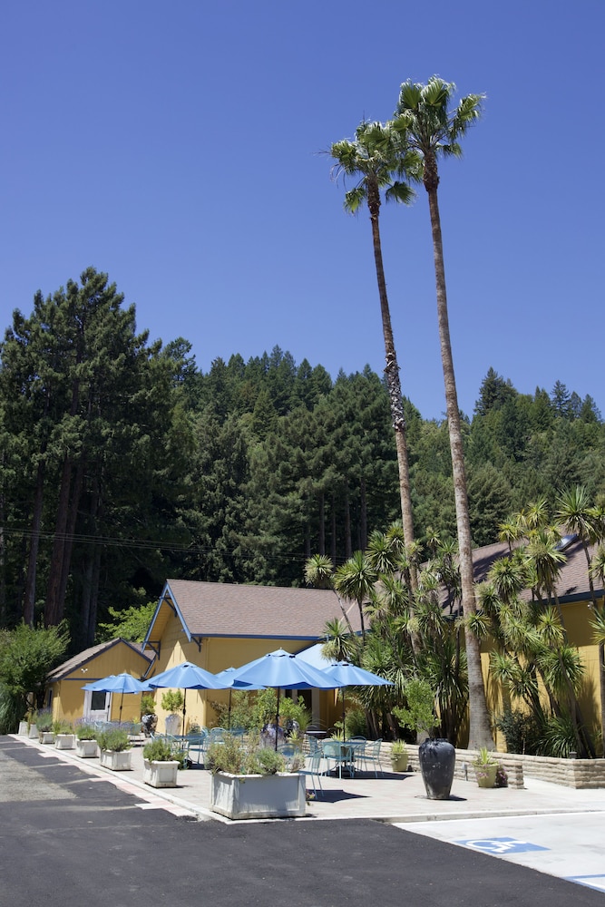 Surrey Resort - photo 18