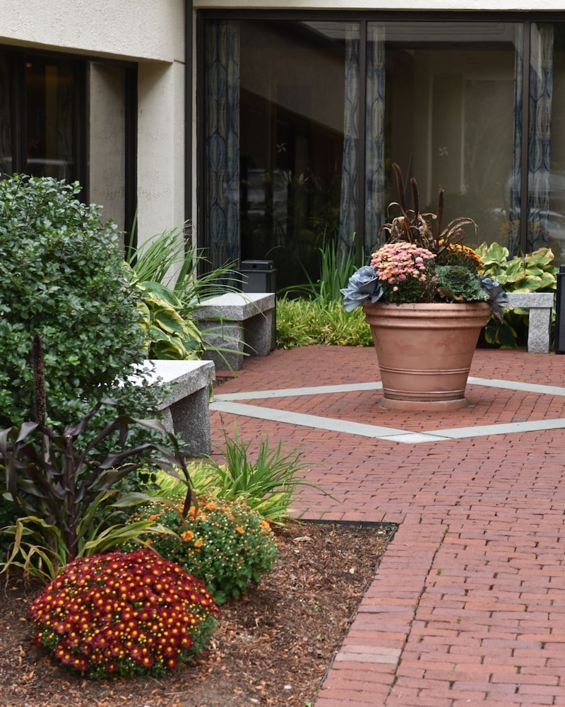 Four Points By Sheraton Norwood - photo 100