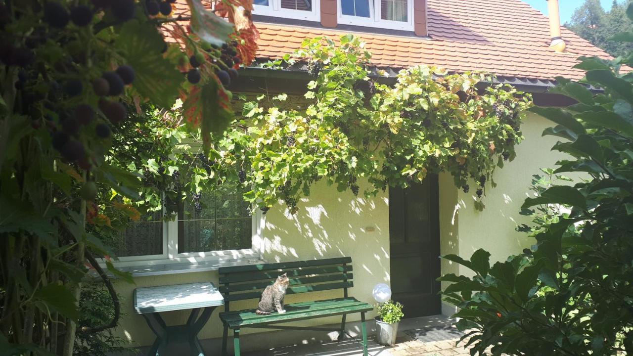 Ferienhaus Puttrich — Hohnstein — photo 2