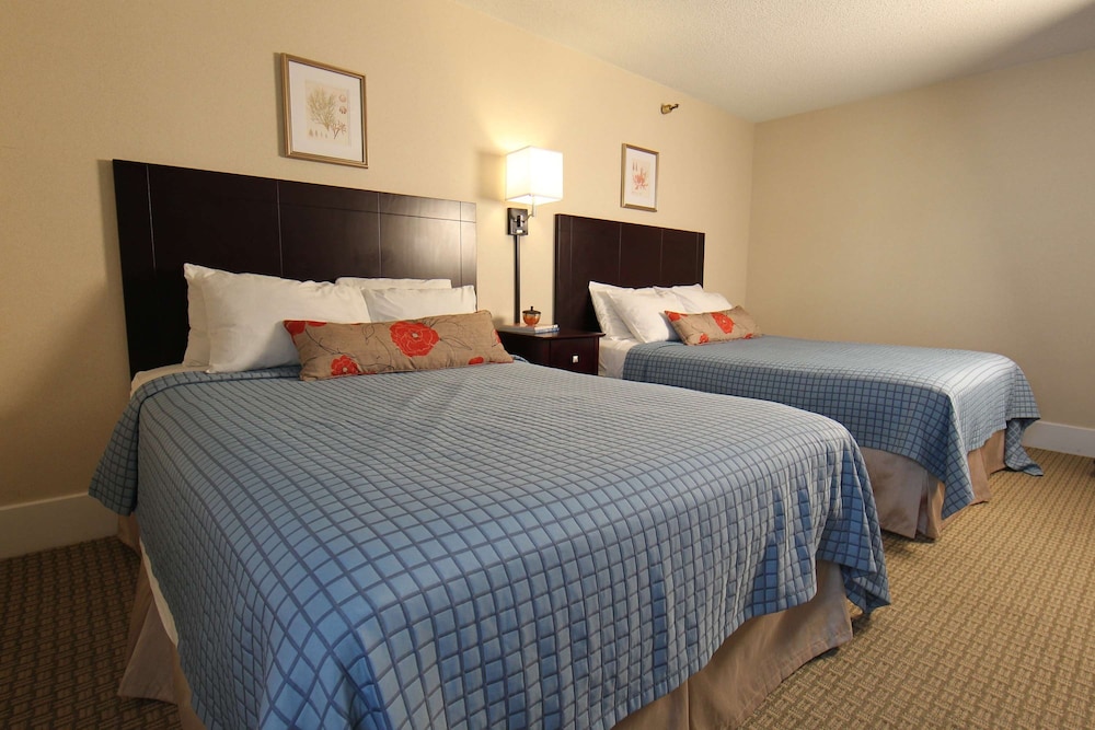 Harrison Hall Hotel - photo 12
