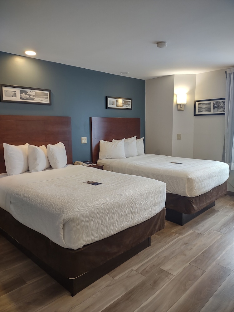 Baymont by Wyndham Flat Rock - photo 13
