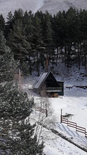 Mountain Waltz by Elia Glamping in Step'antsminda, Georgia