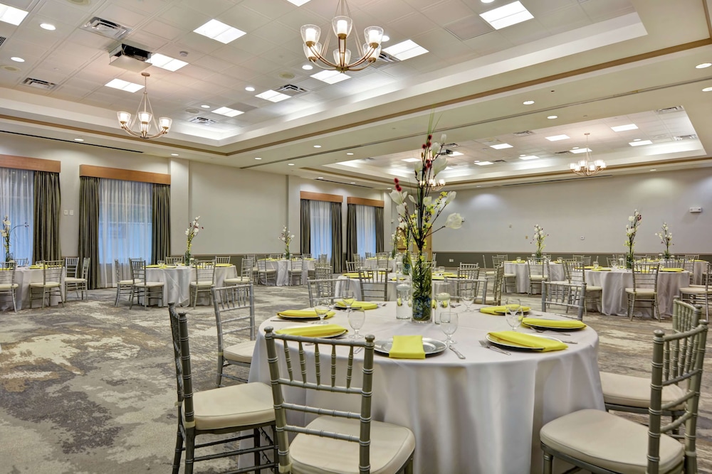 Hilton Garden Inn Lake Buena Vista Orlando - photo 41
