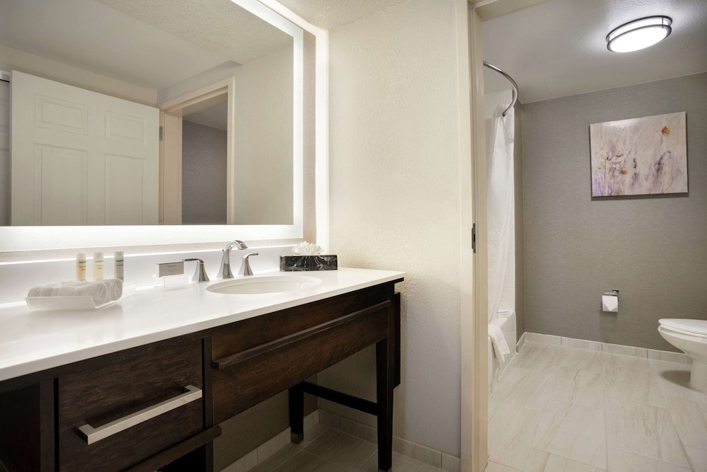 Homewood Suites by Hilton Phoenix Chandler - photo 22