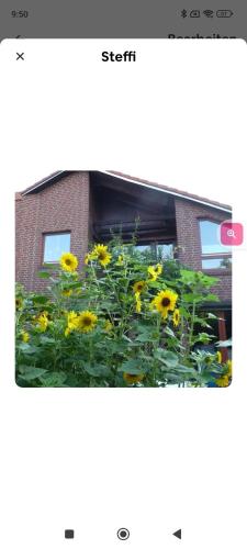 Steffi - carbon neutral hotel in Hannover
