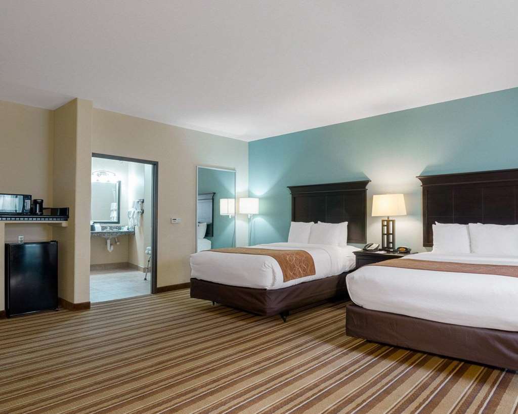 Comfort Suites Topeka Northwest - photo 19