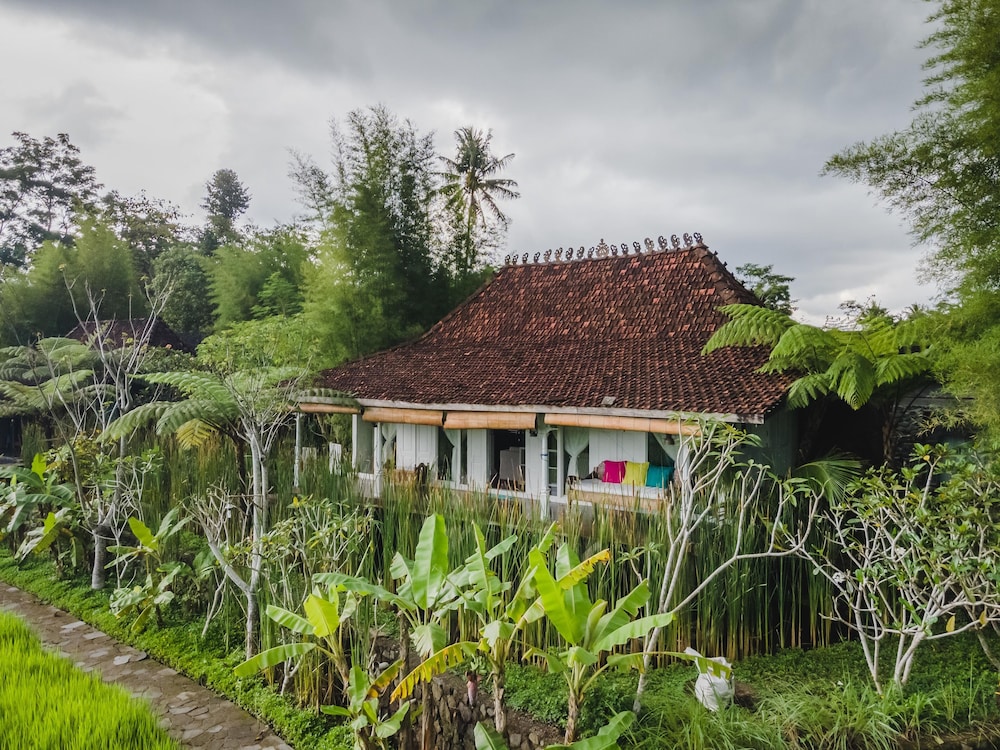 Rumah Jembarati - last minute hotel in Yogyakarta