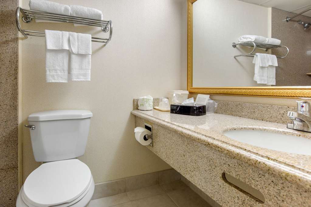 Quality Inn Ledgewood Dover - photo 14