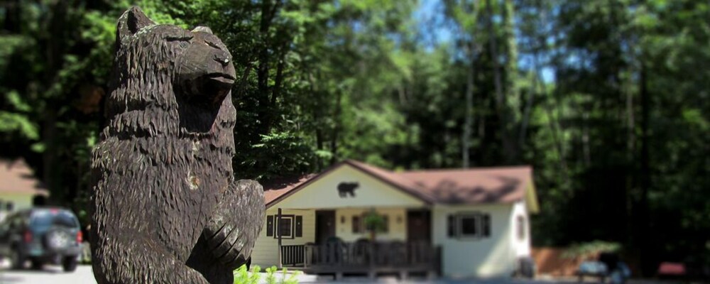 Lee's Motel and Cottages - photo 13