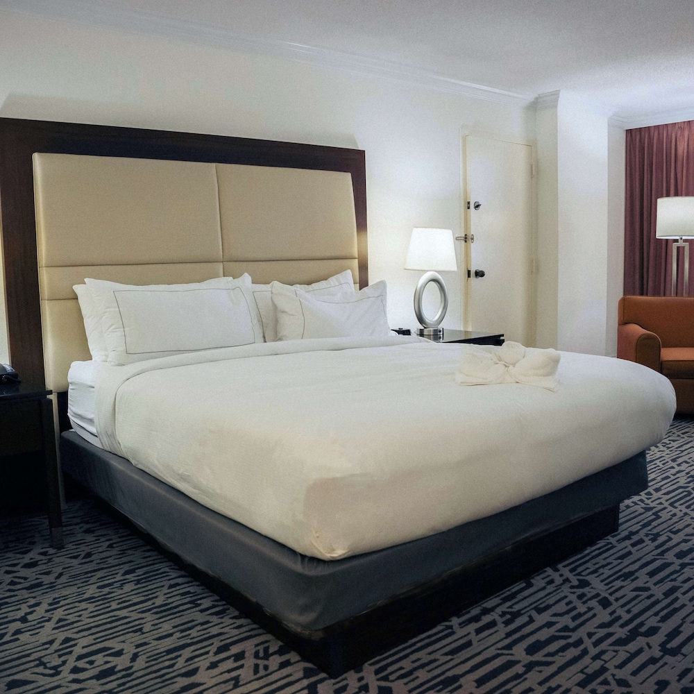 Hilton Palm Beach PBI - photo 50