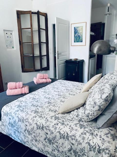 Le Petit Carnot in Apt, France