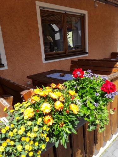 Zur Post — Koenigstein Im Taunus