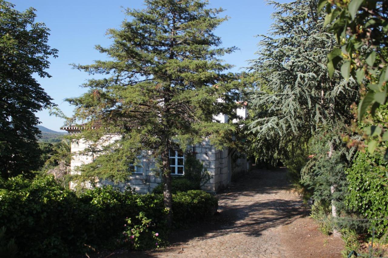 Casal dos Zimbros in Macedo De Cavaleiros, Portugal