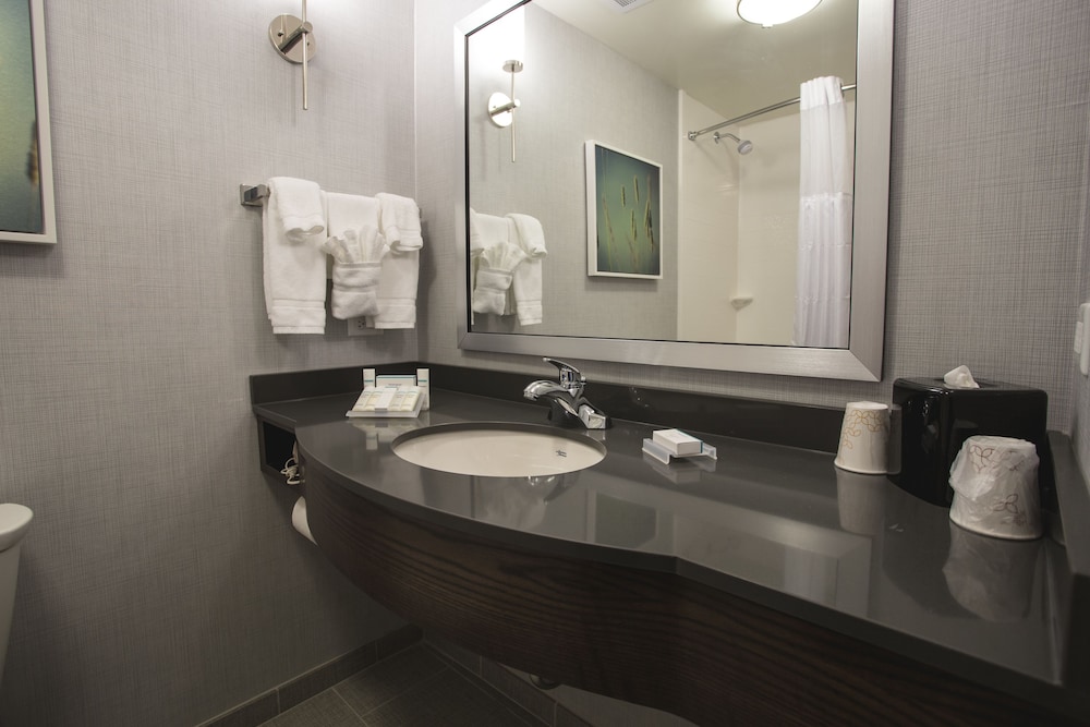 Hilton Garden Inn Bolingbrook I 55 - photo 25