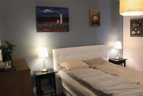 Lovely downtown Reykjavik apartment Great location