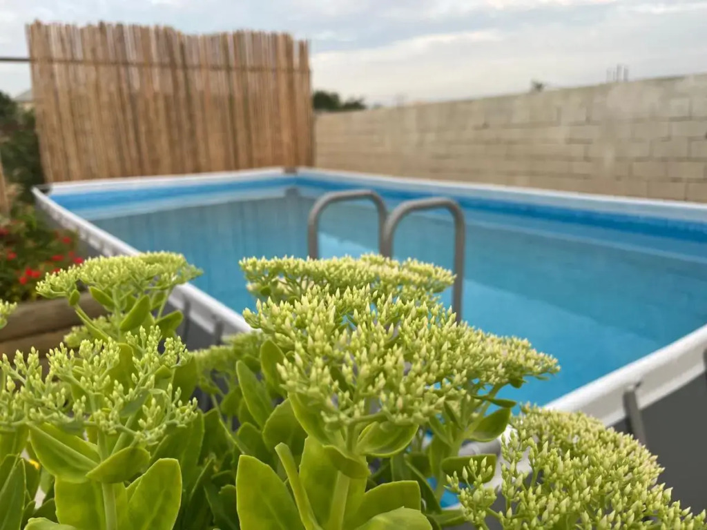 Eco house villa jeo