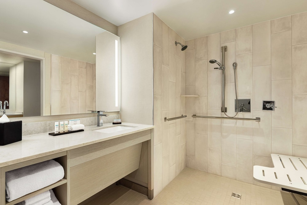 Embassy Suites by Hilton Denver International Airport - photo 31