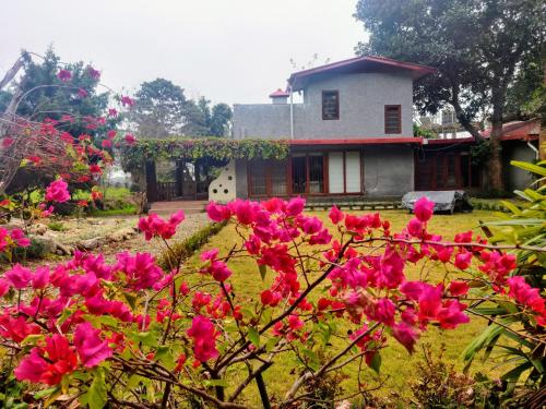 Minivets Nest in Ramnagar, India
