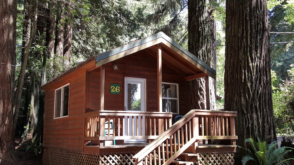 Emerald Forest Cabins - photo 2