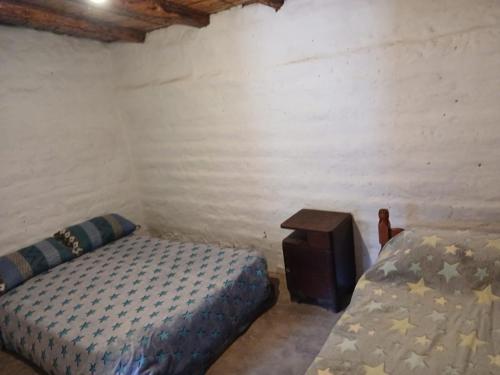 Upa in Tilcara, Argentina