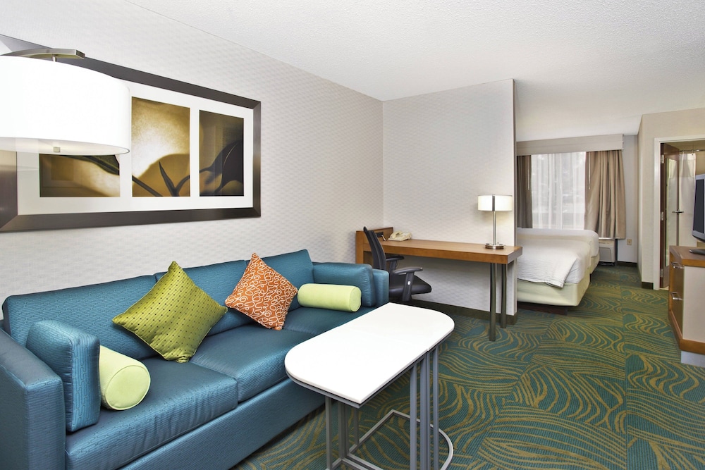 Springhill Suites by Marriott Chicago Elmhurst Oakbrook Area - photo 17