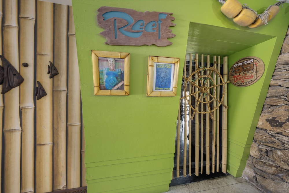 Caliente Tropics Hotel - photo 80