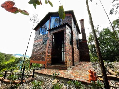 Paradise Glamping — Choconta — photo 3