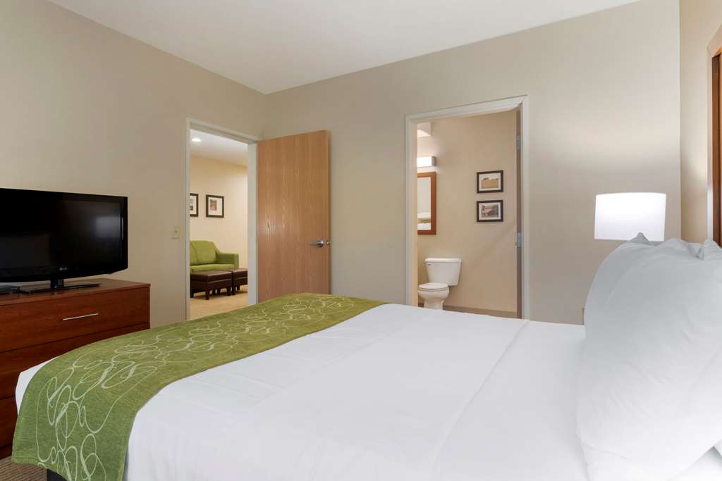 Comfort Suites Marysville Yuba City - photo 21