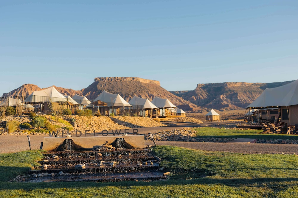 Zion Wildflower - featured photo